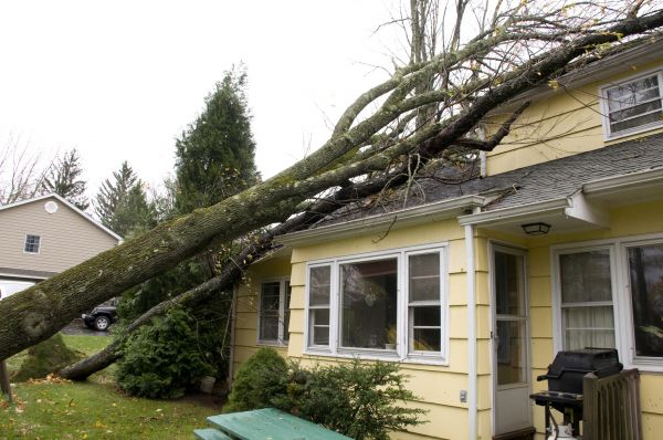 Cost of Hurricane Damage Repair in Lancaster