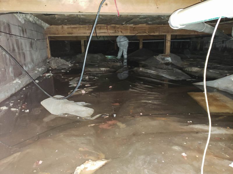 Water Damage Cleanup Team